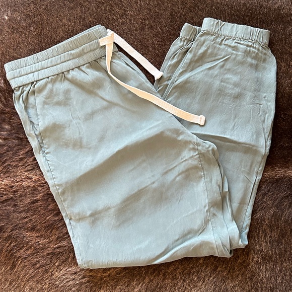 J CREW ECO CUPRO HOWARD JOGGERS Slate Green - Picture 8 of 8